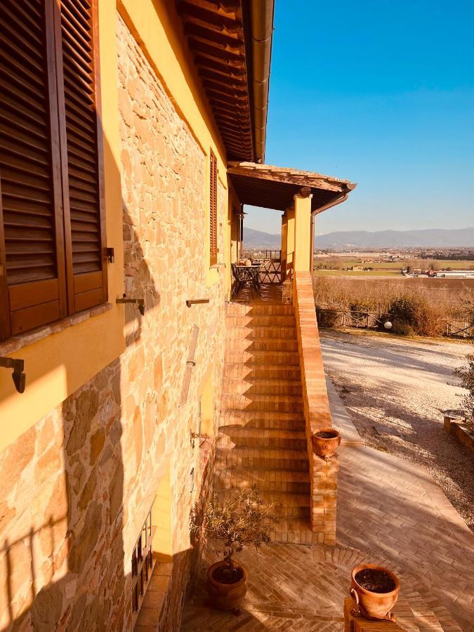 Agriturismo Il Divin Casale Torgiano Eksteriør bilde