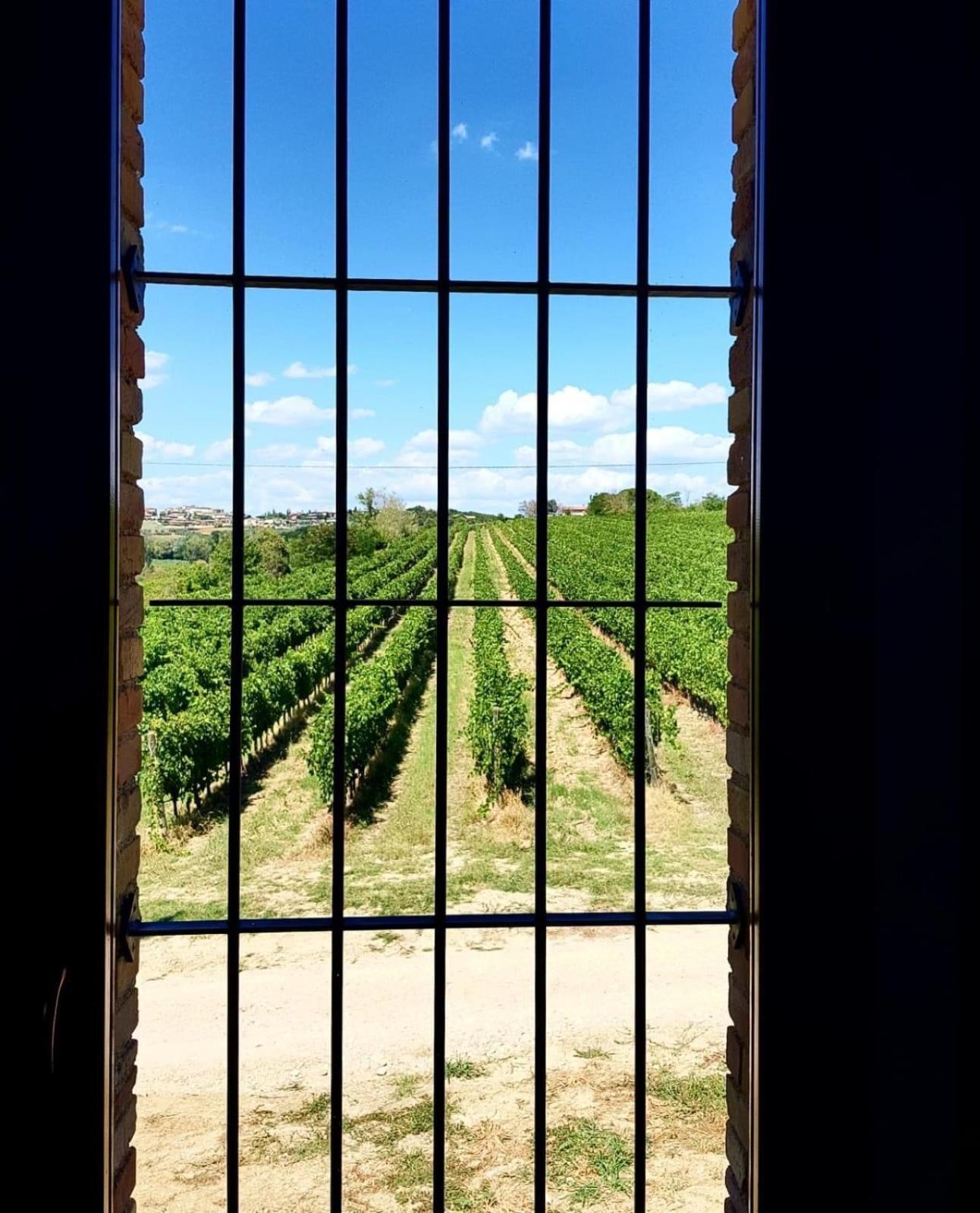 Agriturismo Il Divin Casale Torgiano Eksteriør bilde